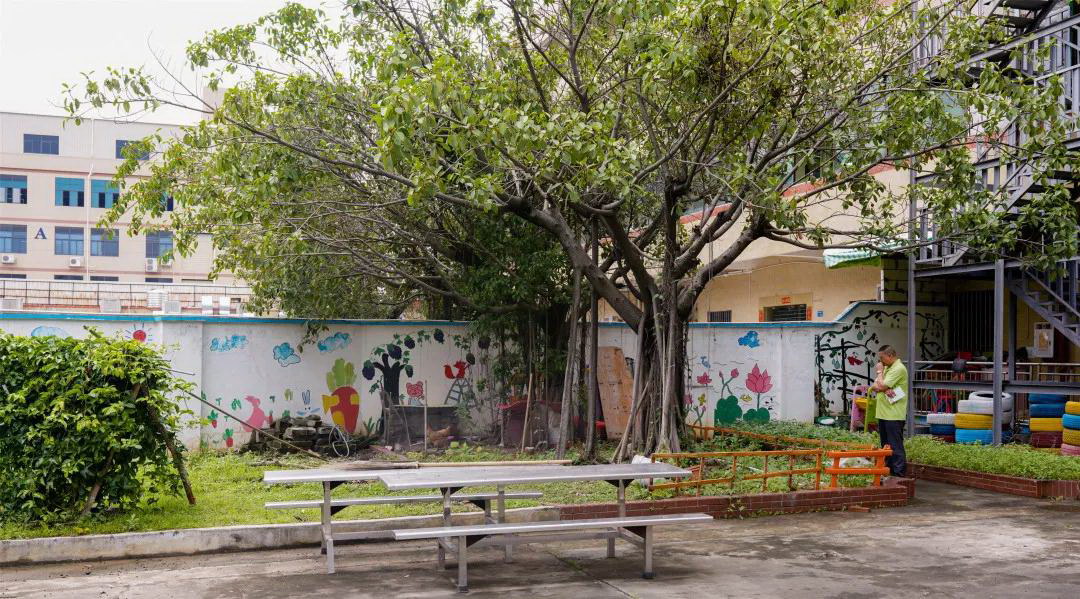 1574415859676821.jpg 1574415859676821.jpg