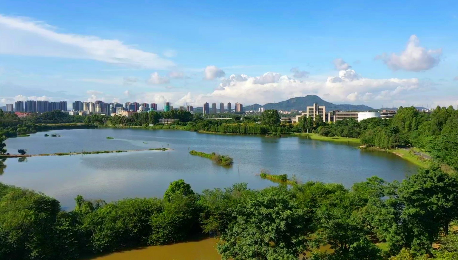 1594193672240785.png 1594193672240785.png