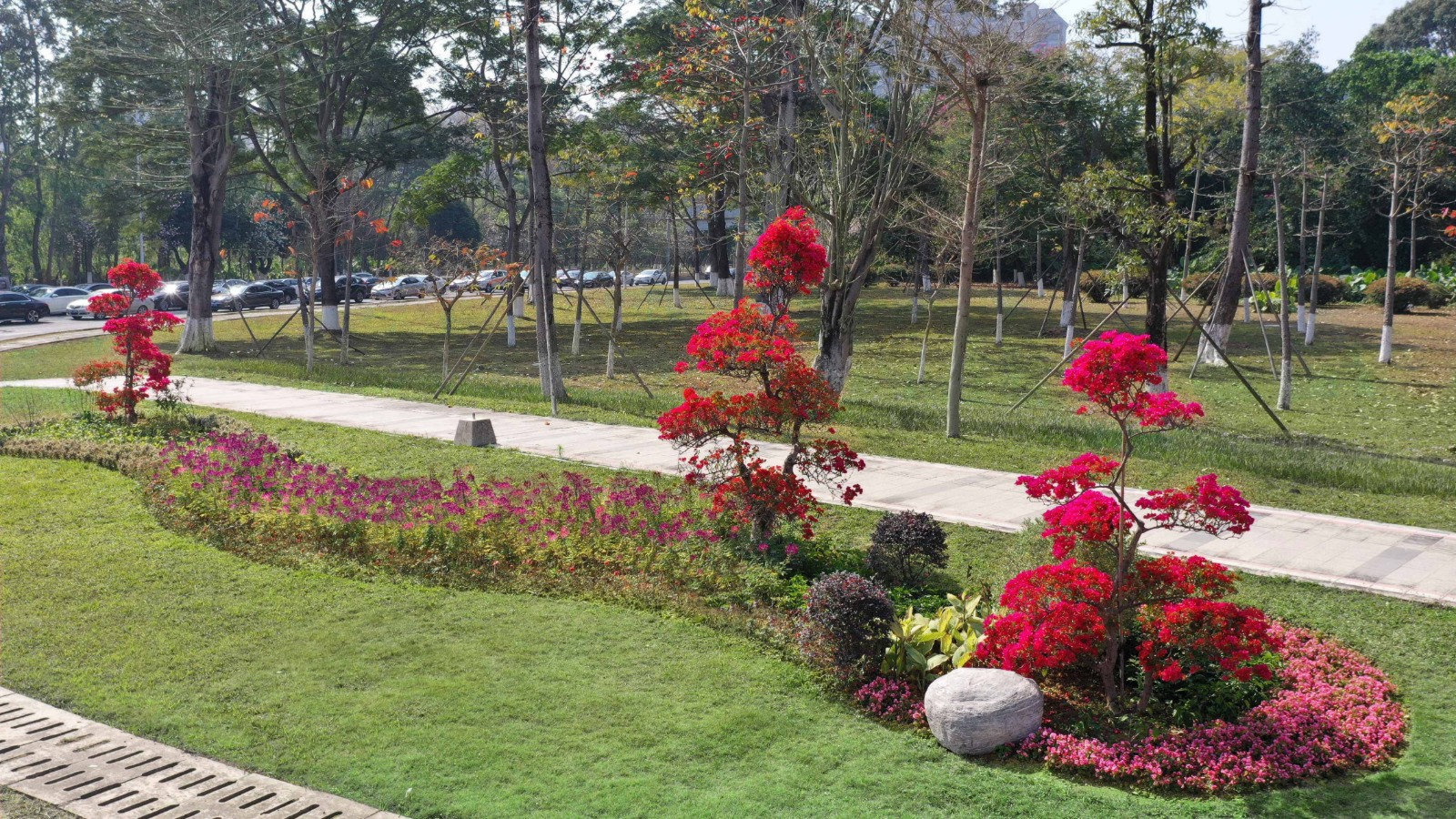 1630464990330947.jpg 3.jpg