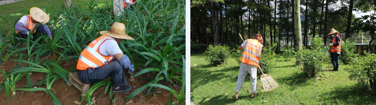 1632907742793656.jpg 1632907742793656.jpg